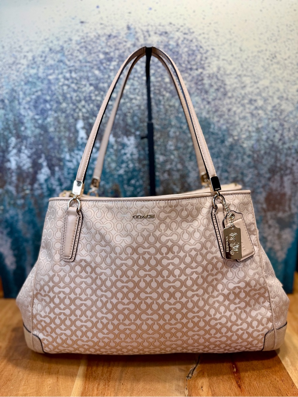 Coach 2013 Soft Glam Op Art Pearlescent Carryall Bag EUC